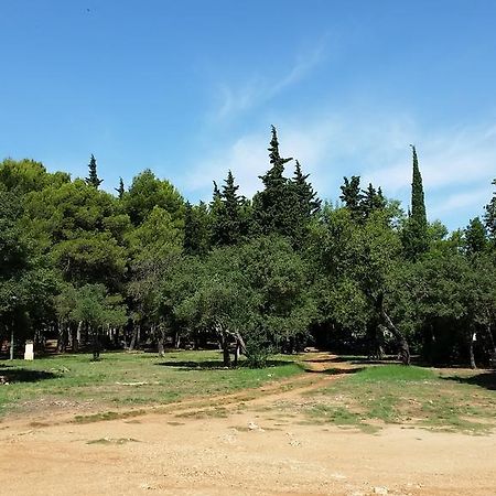 Bungalows Jurjevac Stari Grad  Exteriör bild
