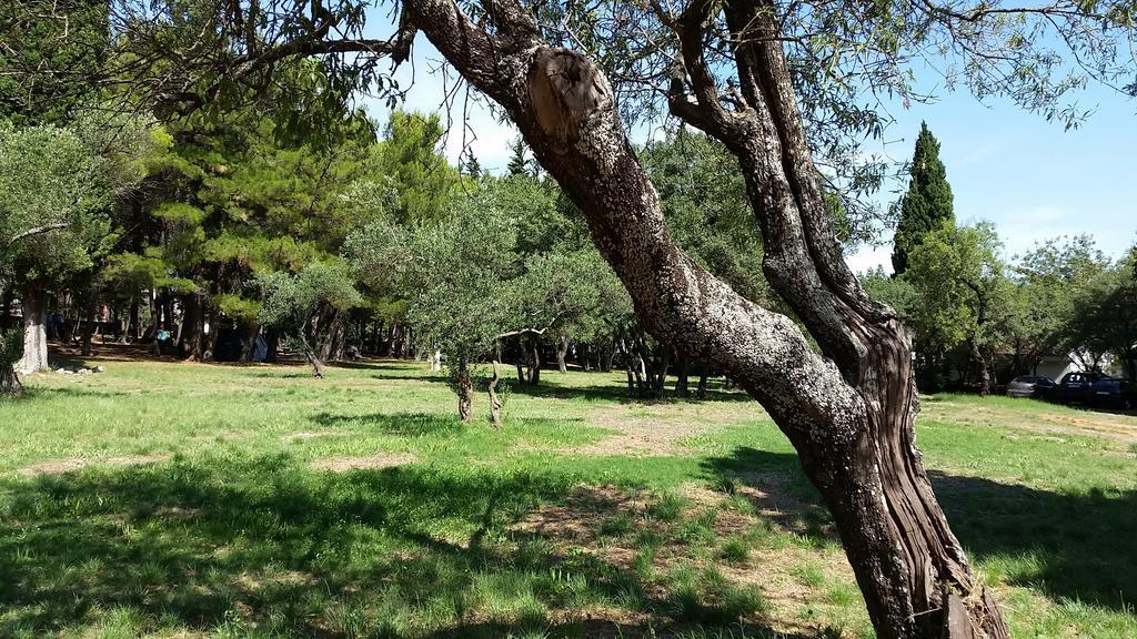 Bungalows Jurjevac Stari Grad  Rum bild